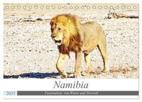 Vorderes Coverbild Namibia, Faszination Wüste und Tierwelt (Tischkalender 2025 DIN A5 quer), CALVENDO Monatskalender