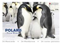 Vorderes Coverbild Polaris