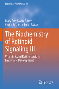 Vorderes Coverbild The Biochemistry of Retinoid Signaling III