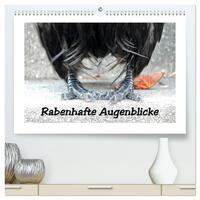 Vorderes Coverbild Rabenhafte Augenblicke (hochwertiger Premium Wandkalender 2025 DIN A2 quer), Kunstdruck in Hochglanz