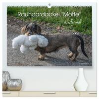 Vorderes Coverbild Rauhaardackel Motte & Friends (hochwertiger Premium Wandkalender 2025 DIN A2 quer), Kunstdruck in Hochglanz
