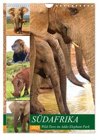 Vorderes Coverbild SÜDAFRIKA Wild-Tiere im Addo Elephant Park (Wandkalender 2025 DIN A4 hoch), CALVENDO Monatskalender
