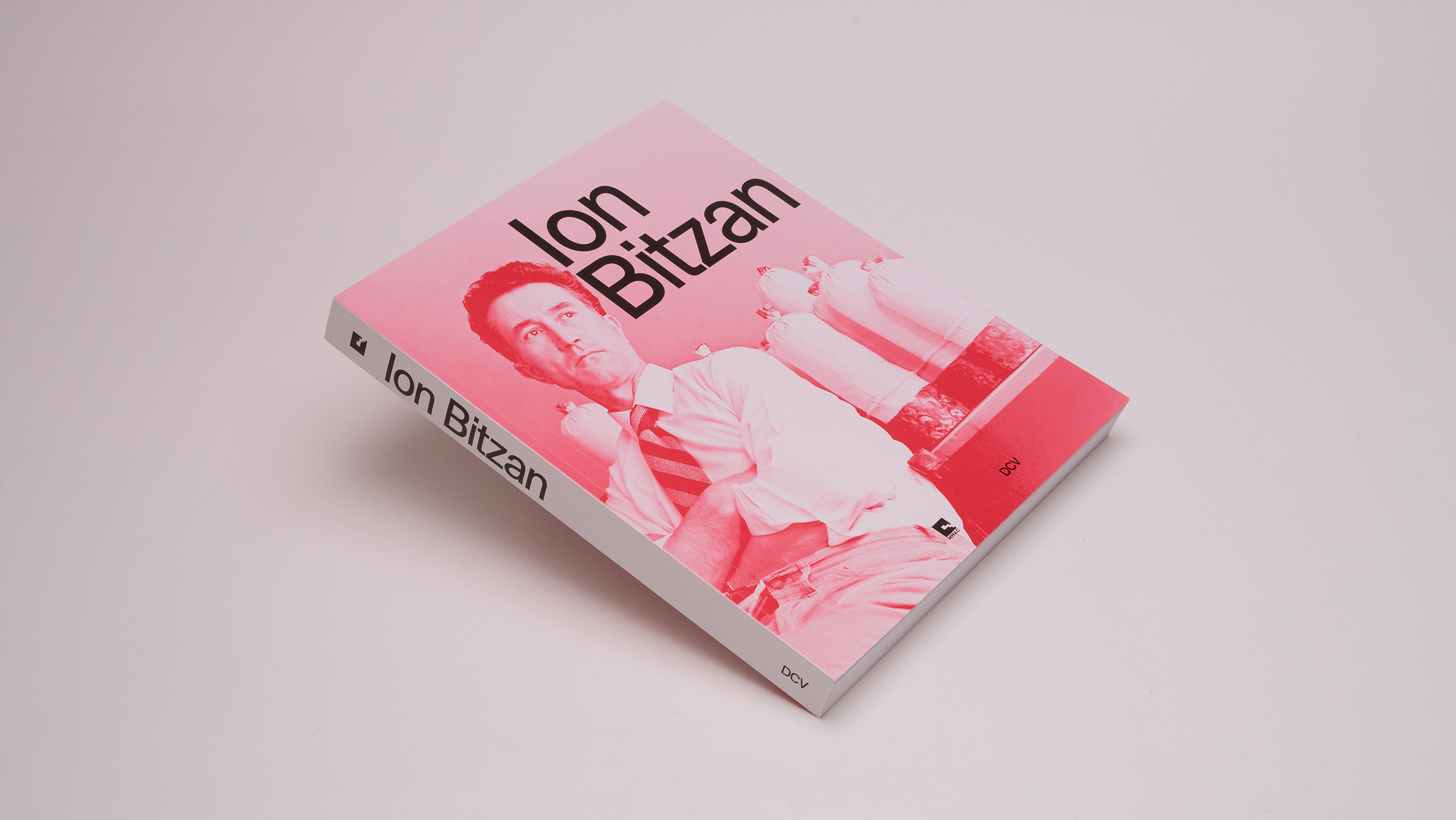 Beispielinhalt (Bild) Ion Bitzan