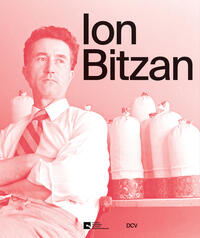 Vorderes Coverbild Ion Bitzan