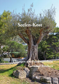 Vorderes Coverbild Seelen-Kost