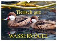 Vorderes Coverbild Tierisch gut: Wasservögel (Wandkalender 2025 DIN A3 quer), CALVENDO Monatskalender