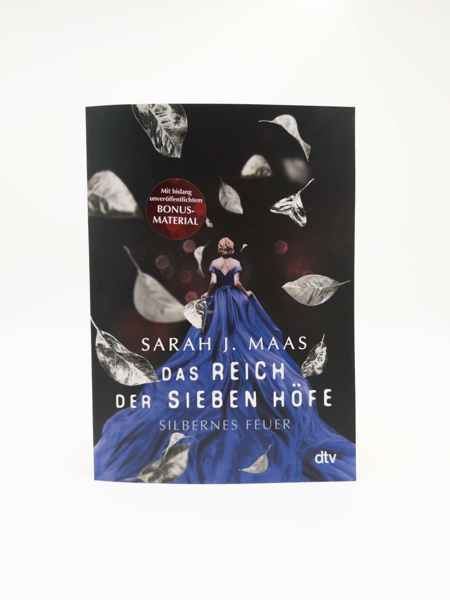 Beispielinhalt (Bild) Das Reich der sieben Höfe – Silbernes Feuer