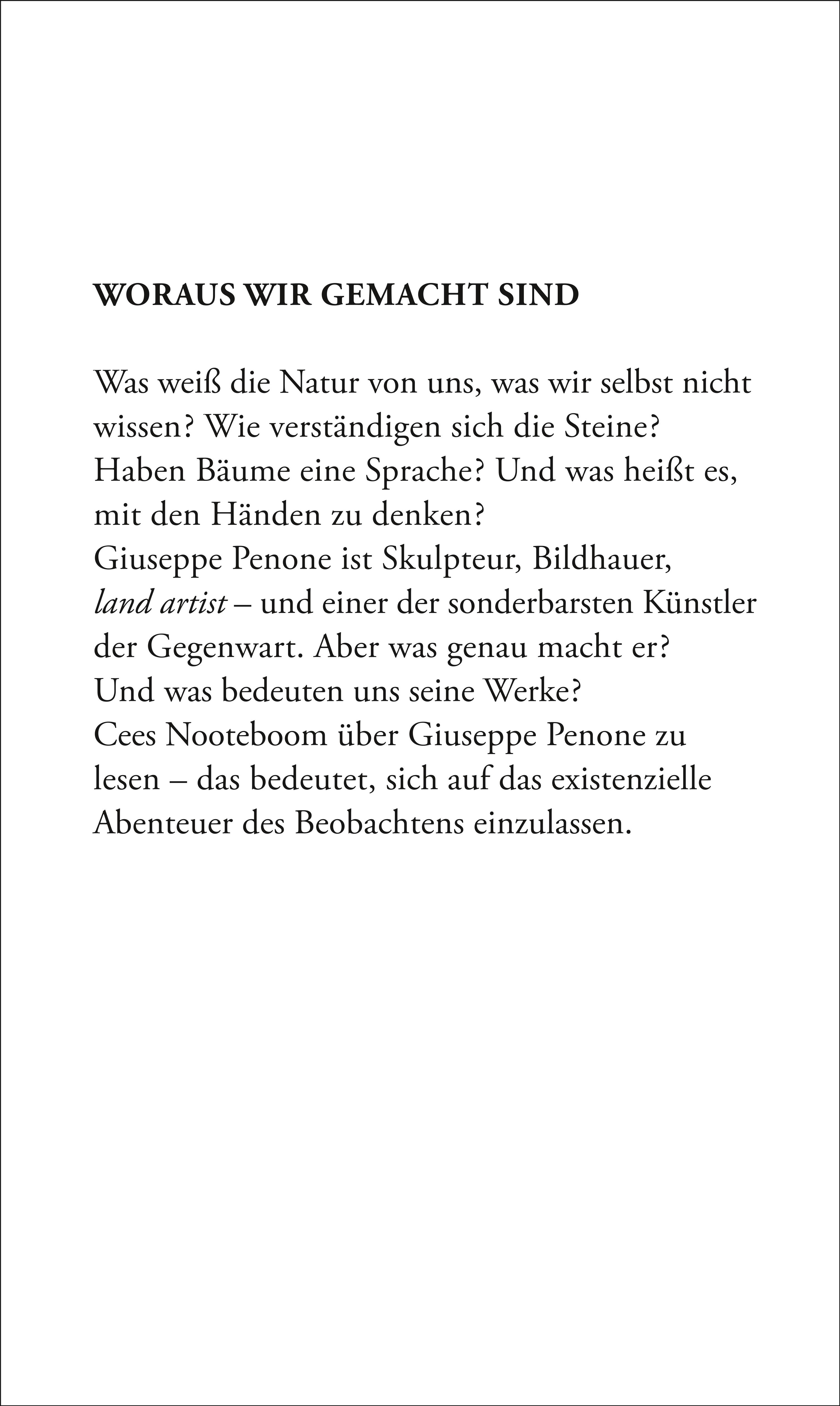 Rückseitencover In den Bäumen blühen Steine