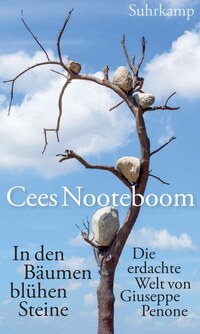 Vorderes Coverbild In den Bäumen blühen Steine