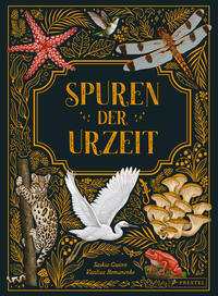 Vorderes Coverbild Spuren der Urzeit
