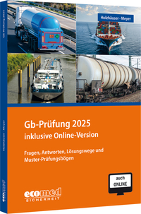 Vorderes Coverbild Gb-Prüfung 2025 inklusive Online-Version
