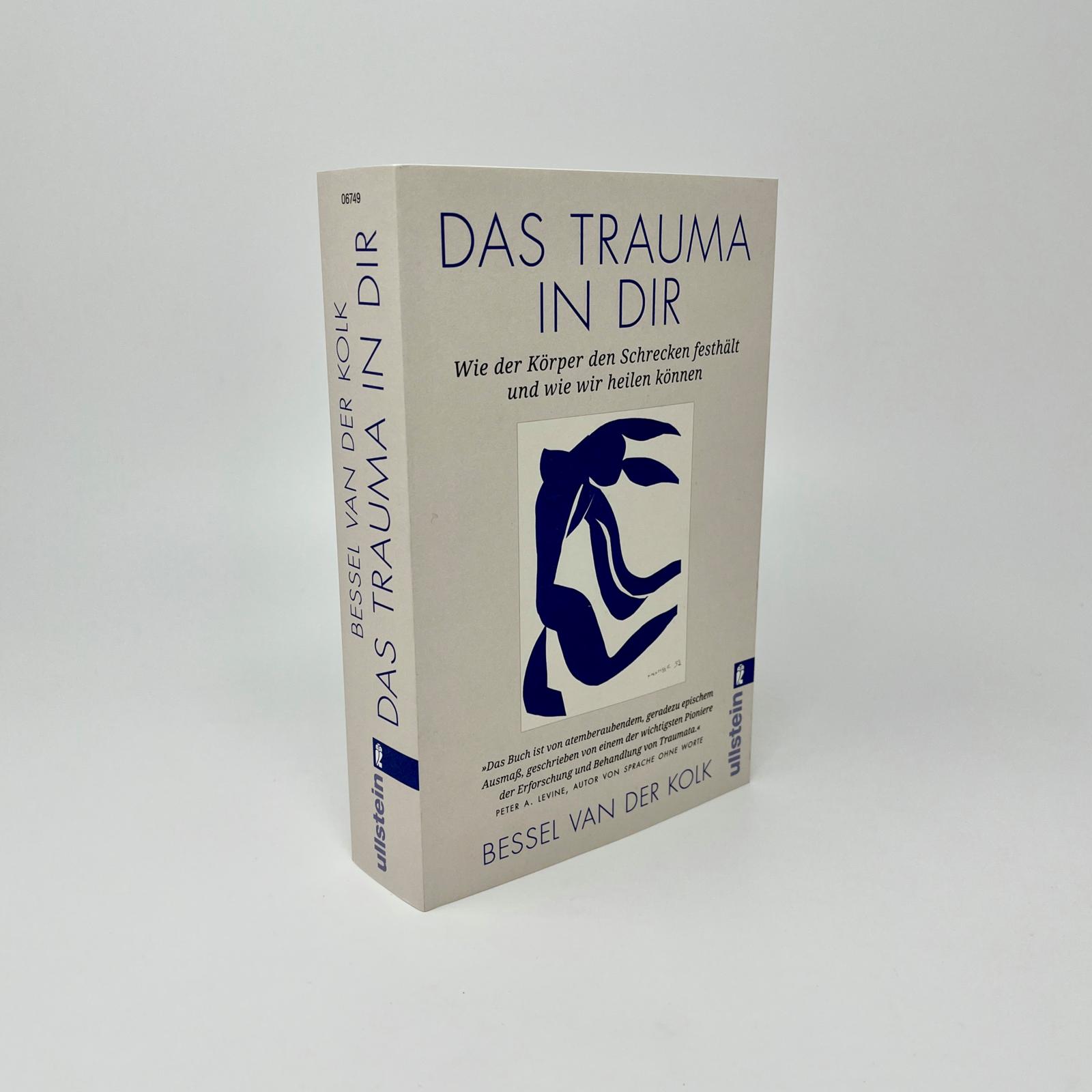 Beispielinhalt (Bild) Das Trauma in dir