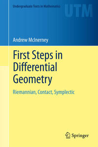 Vorderes Coverbild First Steps in Differential Geometry