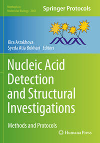 Vorderes Coverbild Nucleic Acid Detection and Structural Investigations