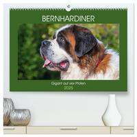 Vorderes Coverbild Bernhardiner - Gigant auf vier Pfoten (hochwertiger Premium Wandkalender 2025 DIN A2 quer), Kunstdruck in Hochglanz