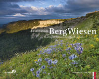 Vorderes Coverbild Faszination Bergwiesen