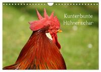 Vorderes Coverbild Kunterbunte Hühnerschar (Wandkalender 2025 DIN A4 quer), CALVENDO Monatskalender