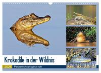 Vorderes Coverbild Krokodile in der Wildnis (Wandkalender 2025 DIN A3 quer), CALVENDO Monatskalender