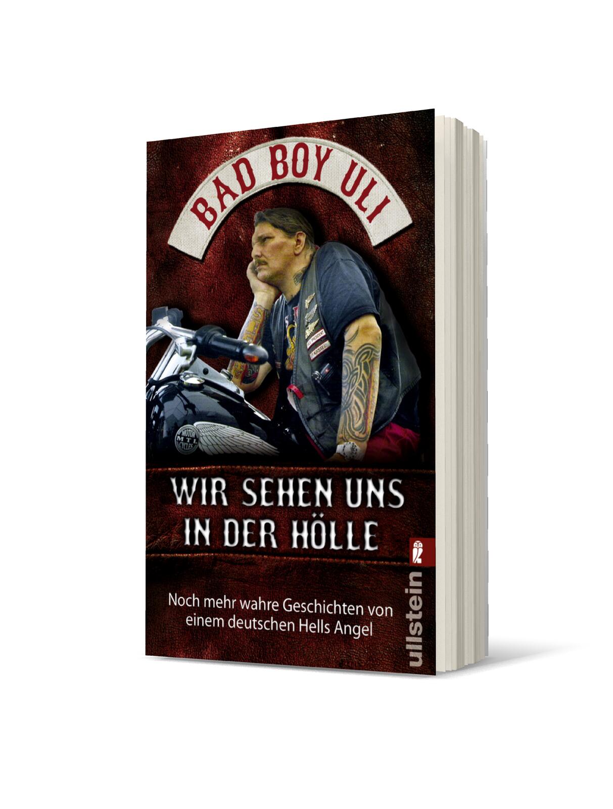Anderes Coverbild Wir sehen uns in der Hölle