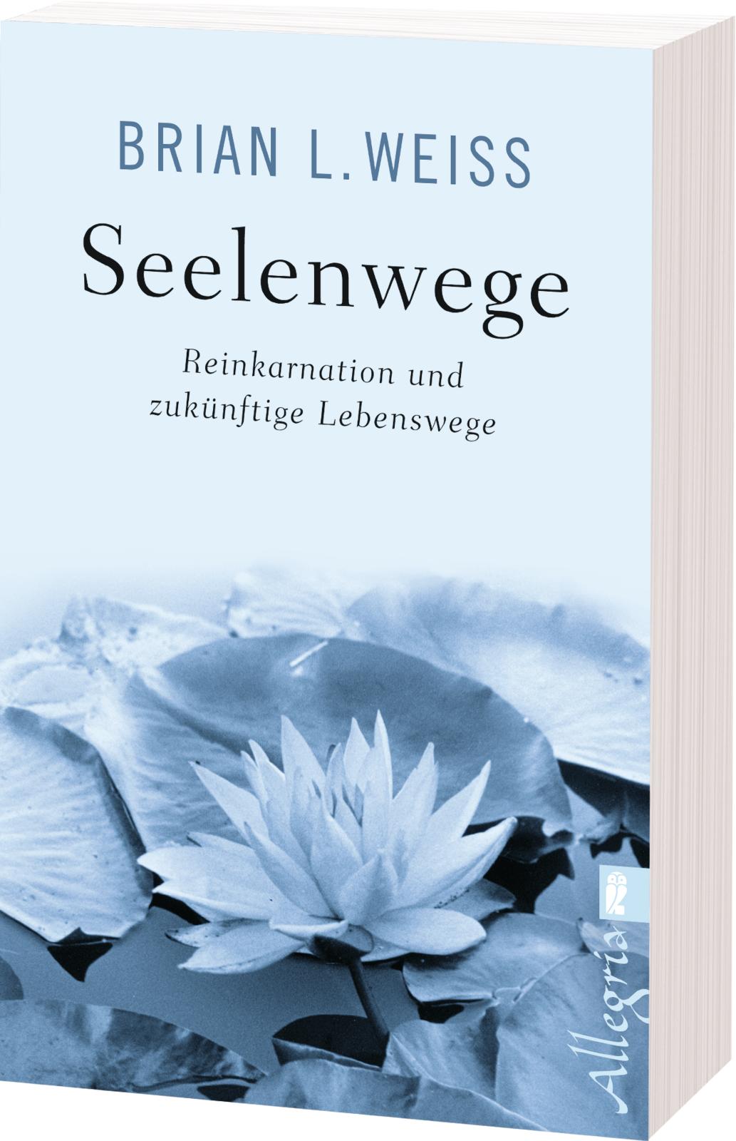 Anderes Coverbild Seelenwege