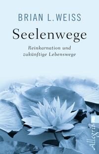 Vorderes Coverbild Seelenwege