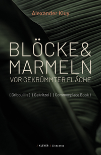 Vorderes Coverbild Blöcke und Marmeln vor gekrümmter Fläche