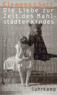 Vorderes Coverbild Die Liebe zur Zeit des Mahlstädter Kindes