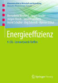 Vorderes Coverbild Energieeffizienz
