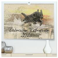 Vorderes Coverbild Labrador Retriever 2025 (hochwertiger Premium Wandkalender 2025 DIN A2 quer), Kunstdruck in Hochglanz