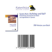 Vorderes Coverbild Aufstieg und Fall? Entwicklung und Zukunft der Kinder- und Jugendarbeit in Sachsen