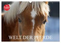 Vorderes Coverbild Welt der Pferde (Wandkalender 2025 DIN A3 quer), CALVENDO Monatskalender