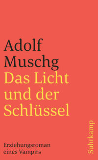 Vorderes Coverbild Das Licht und der Schlüssel