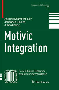 Vorderes Coverbild Motivic Integration