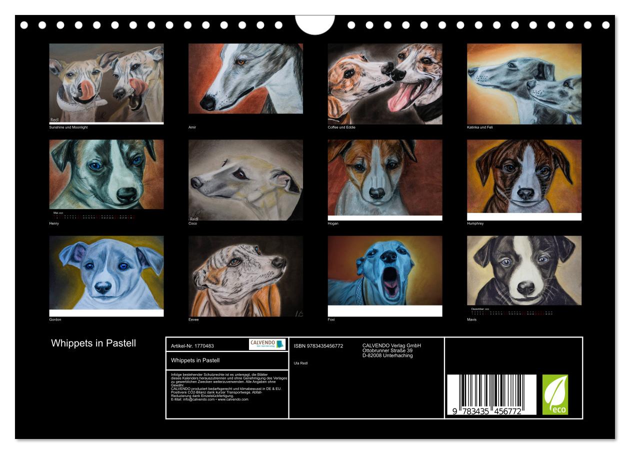 Beispielinhalt (Bild) Whippets in Pastell (Wandkalender 2025 DIN A4 quer), CALVENDO Monatskalender