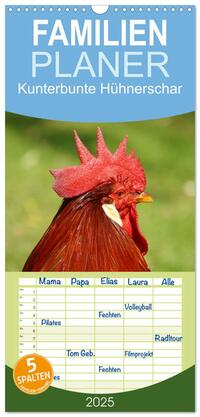 Vorderes Coverbild Familienplaner 2025 - Kunterbunte Hühnerschar mit 5 Spalten (Wandkalender, 21 x 45 cm) CALVENDO