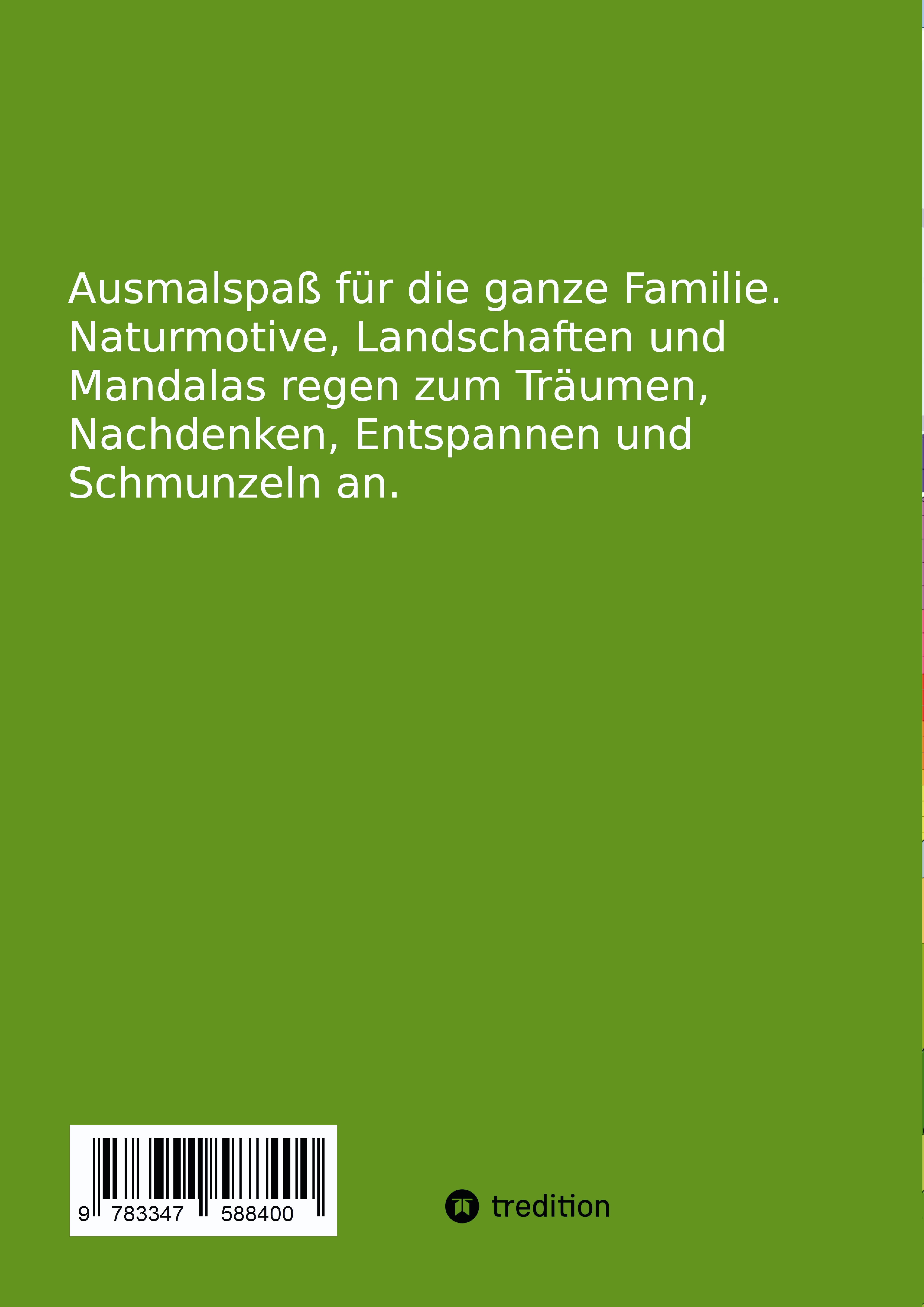 Rückseitencover Hier fehlt etwas Farbe!!! 3