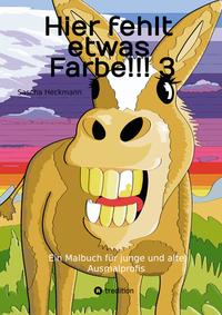 Vorderes Coverbild Hier fehlt etwas Farbe!!! 3