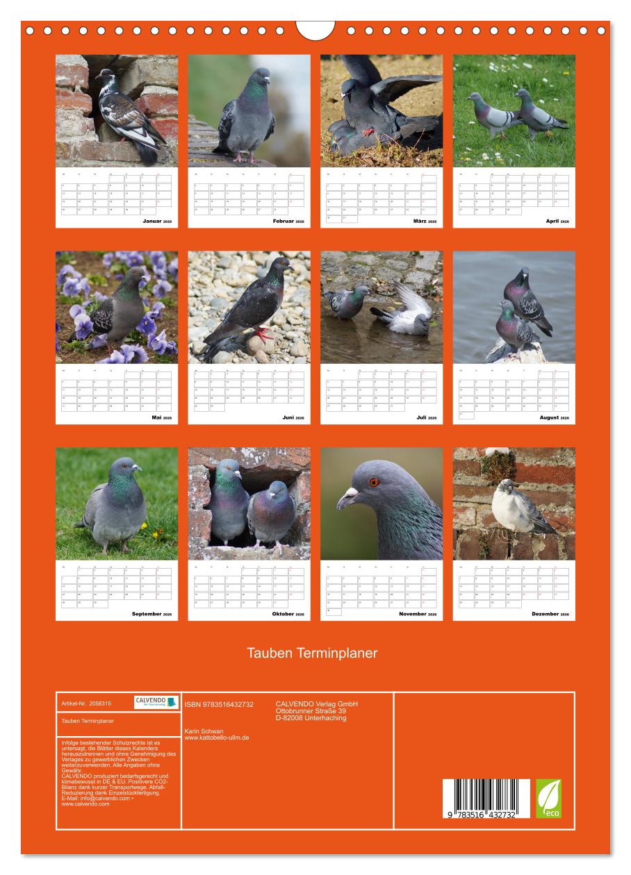 Beispielinhalt (Bild) Tauben Terminplaner (Wandkalender 2026 DIN A3 hoch), CALVENDO Monatskalender