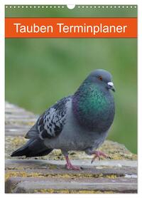 Vorderes Coverbild Tauben Terminplaner (Wandkalender 2026 DIN A3 hoch), CALVENDO Monatskalender