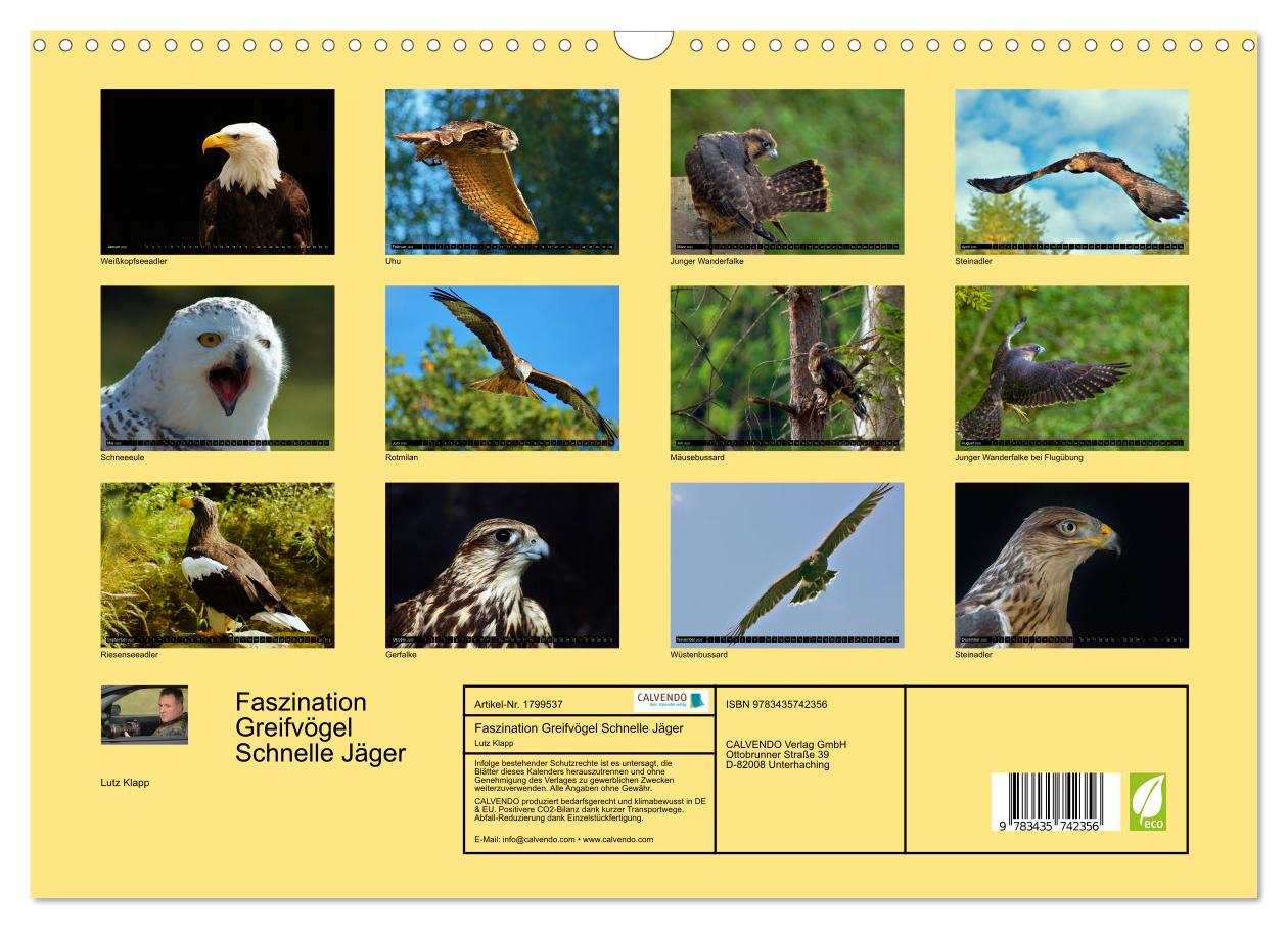 Beispielinhalt (Bild) Faszination Greifvögel Schnelle Jäger (Wandkalender 2025 DIN A3 quer), CALVENDO Monatskalender