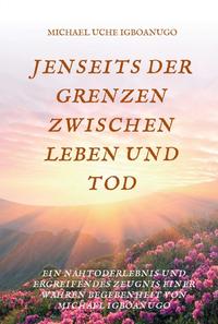 Vorderes Coverbild JENSEITS DER GRENZEN ZWISCHEN LEBEN UND TOD