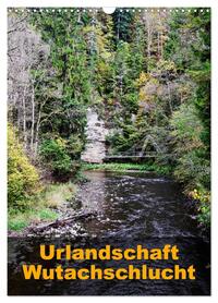 Vorderes Coverbild Urlandschaft Wutachschlucht (Wandkalender 2026 DIN A3 hoch), CALVENDO Monatskalender