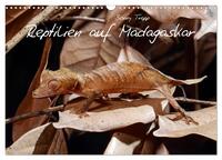 Vorderes Coverbild Reptilien auf Madagaskar (Wandkalender 2025 DIN A3 quer), CALVENDO Monatskalender