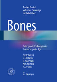 Vorderes Coverbild Bones