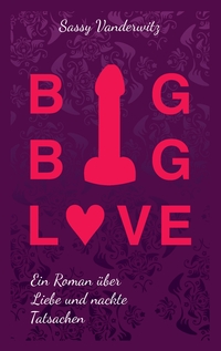 Vorderes Coverbild Big Big Love