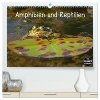 Vorderes Coverbild Amphibien und Reptilien (hochwertiger Premium Wandkalender 2025 DIN A2 quer), Kunstdruck in Hochglanz