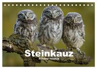 Vorderes Coverbild Steinkäuze (Athene noctua) (Tischkalender 2025 DIN A5 quer), CALVENDO Monatskalender