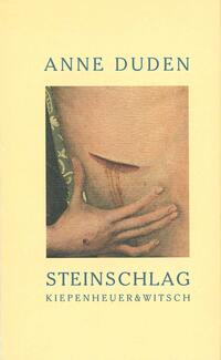 Vorderes Coverbild Steinschlag