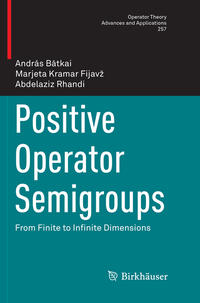 Vorderes Coverbild Positive Operator Semigroups