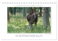 Vorderes Coverbild Emotionale Momente: Europäischer Elch. (Tischkalender 2025 DIN A5 quer), CALVENDO Monatskalender